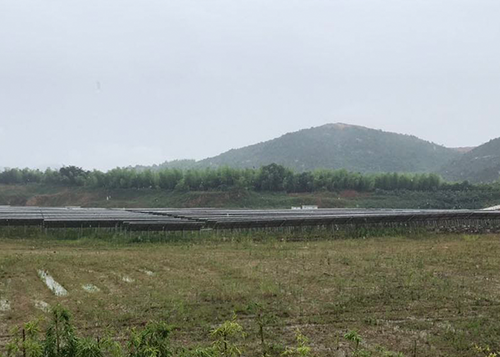 湖州市妙西鎮魚(yú)山南埠礦廢棄礦山治理工程