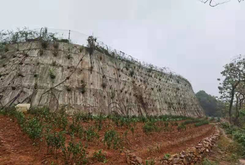 微信圖片_20210301093853.jpg