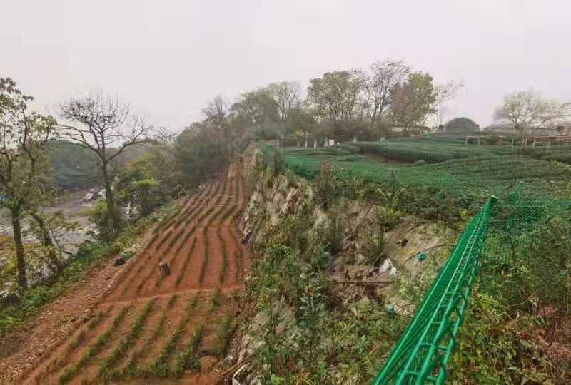 微信圖片_20210301093912.jpg