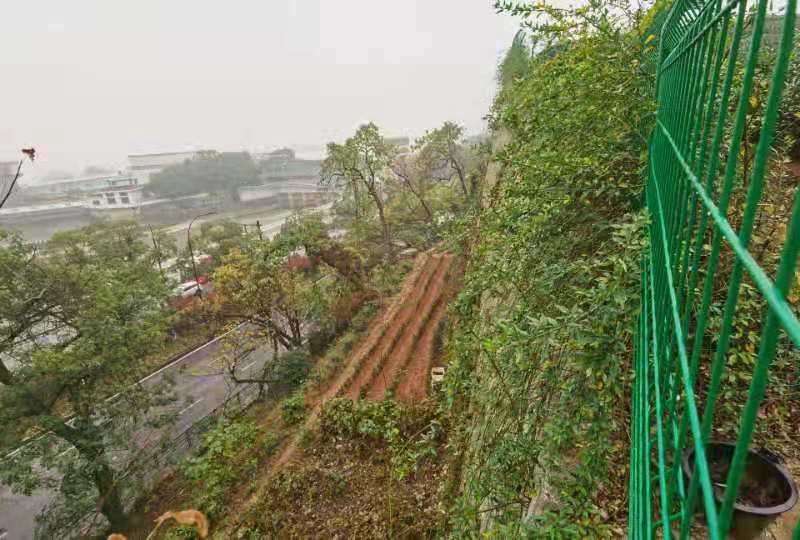 西湖區之江路五云山邊坡治理工程