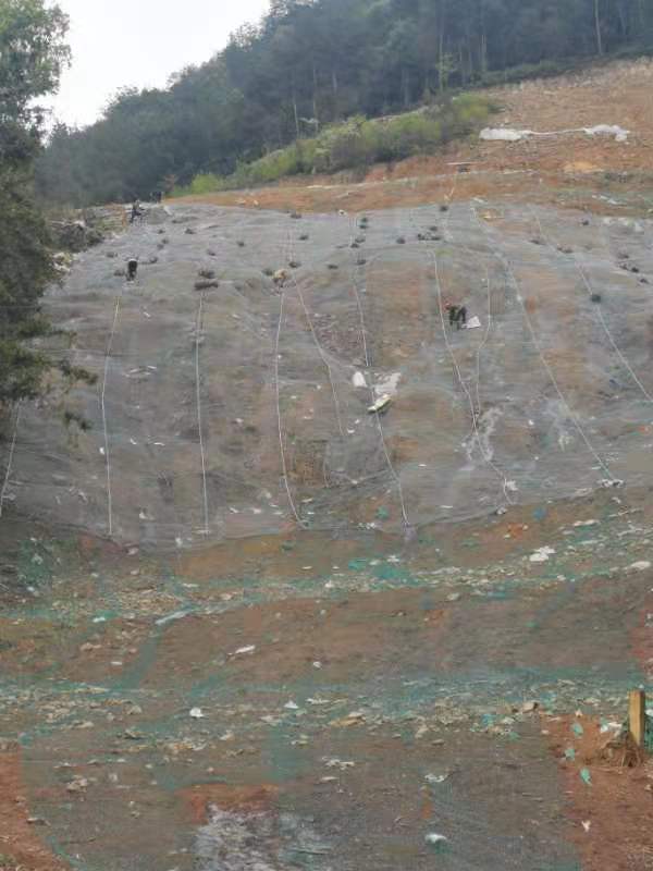 麗水-龍游天然氣管道一期工程南明山街道張垵村邊坡治理工程